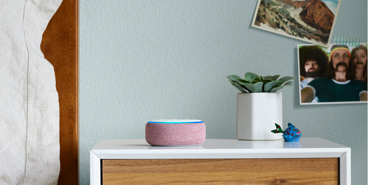 An Echo Dot placed on a desk, next to a pot of plant. The background is a wall where some photos are attached